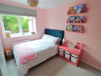 Picture 27